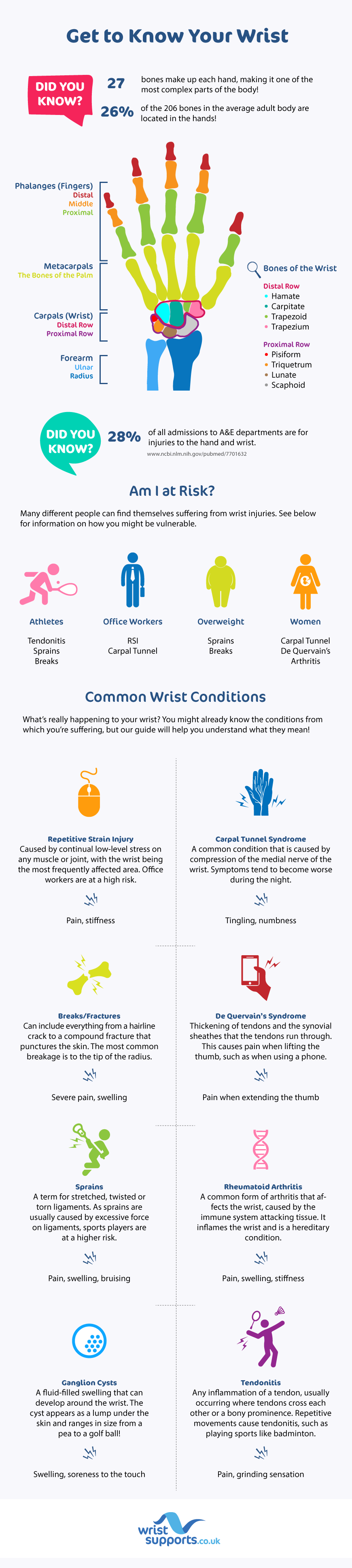 Get to Know Your Wrist