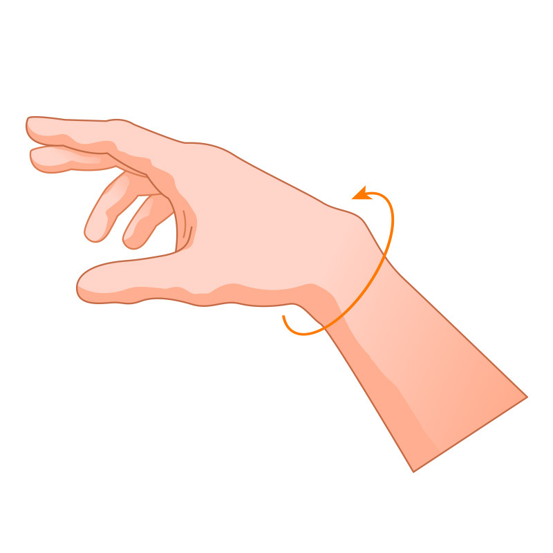Wrist support sizing image (wrist circumference)